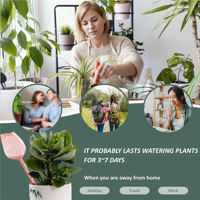 Pink Tulip Plant Watering Ball - огляд і ціна Plant Parenting