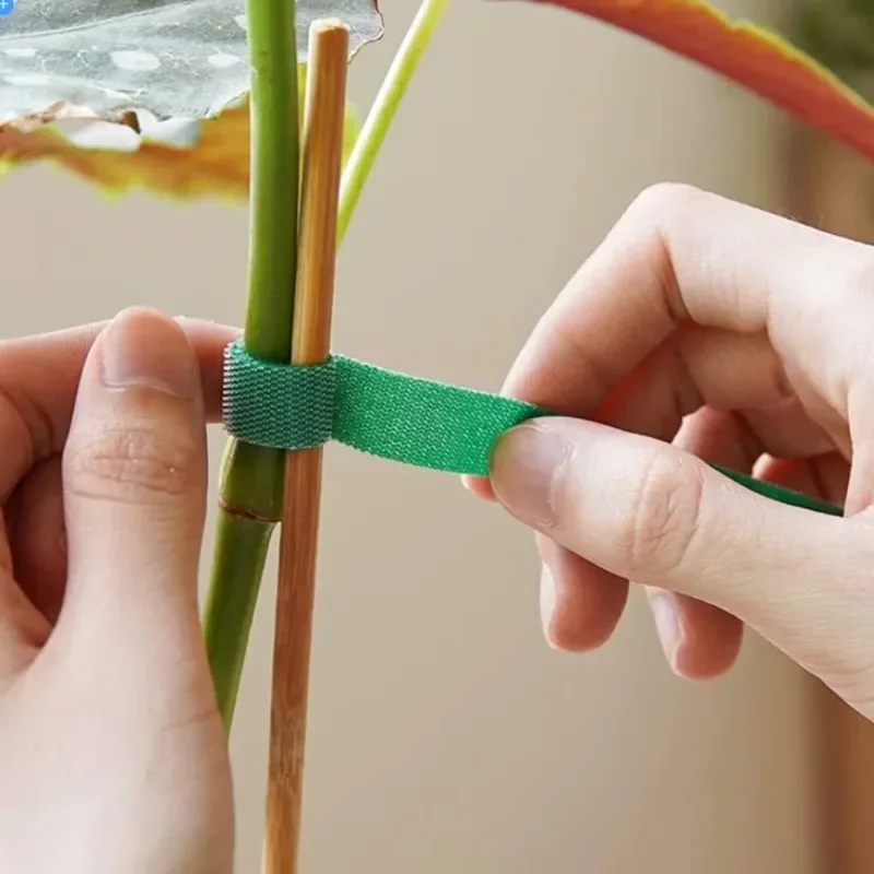2M Reusable Plant Ties Nylon G - огляд і ціна Plant Parenting