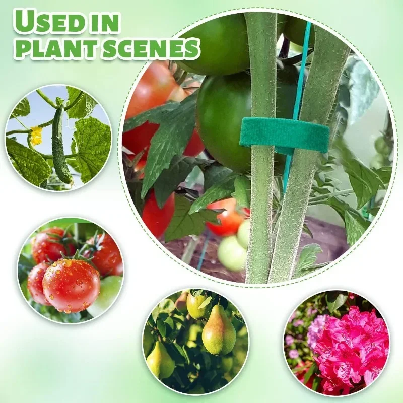 2M Reusable Plant Ties Nylon G - огляд і ціна Plant Parenting