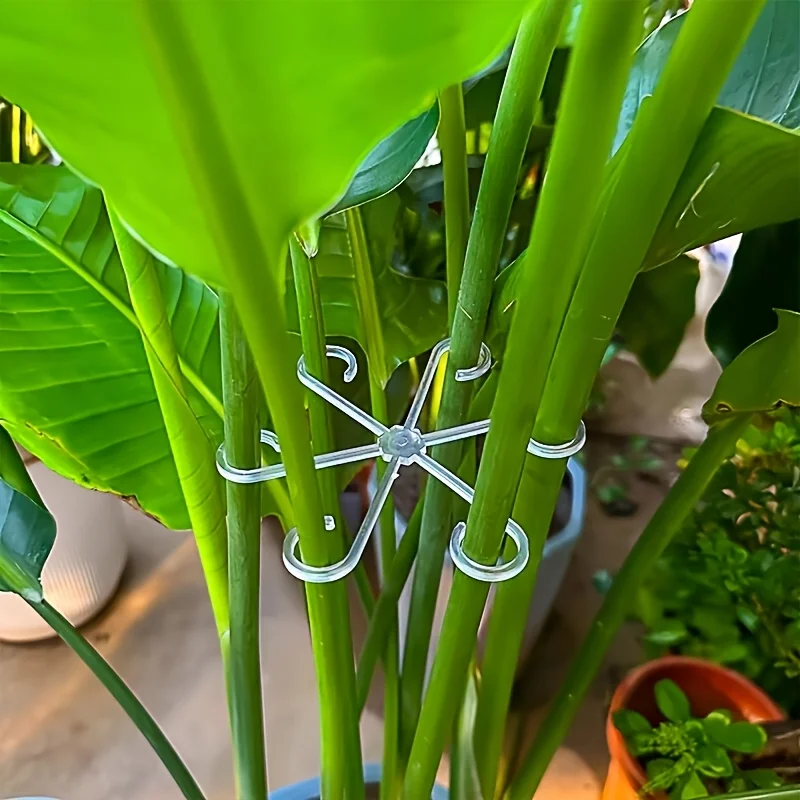 4‑Piece Plant Stem Support Cli - огляд і ціна Plant Parenting