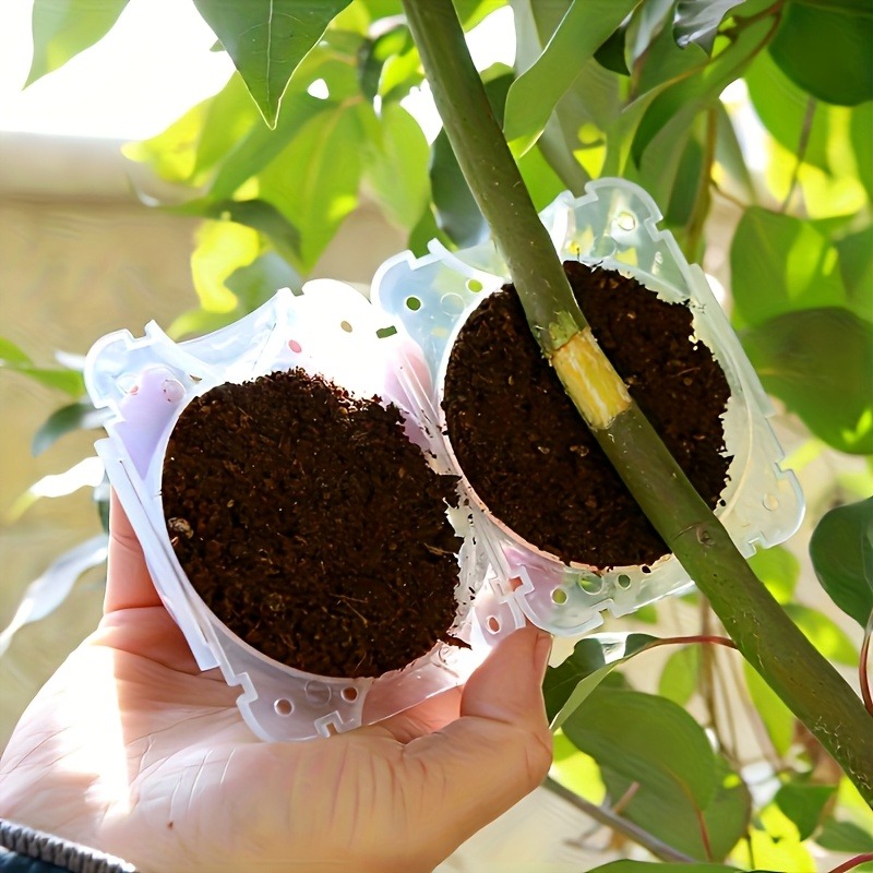 10Pcs High Pressure Plant Root - огляд і ціна Plant Parenting